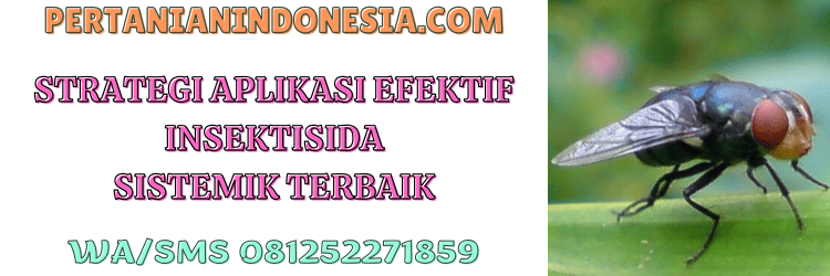 strategi,aplikasi,dosis,hama,serangga,pertanian indonesia